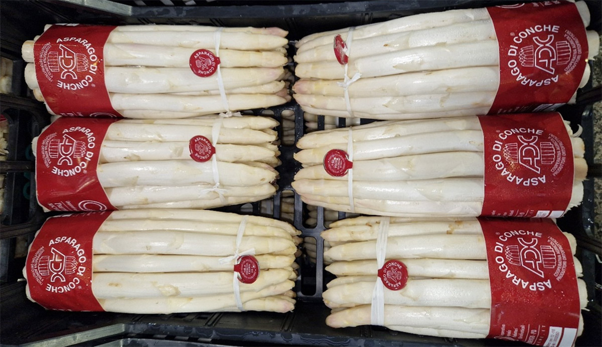 Asparago bianco - Veneto, calibro 20+ - 7,50 €/kg